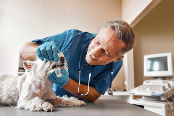 Best Emergency Treatment for Dental Infections or Abscesses in Slater, IA